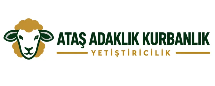 Ataş Adaklık Kurbanlık Yetiştiricilik